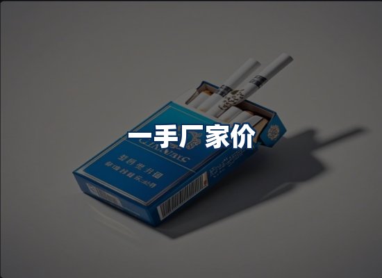 专业团队办公环境